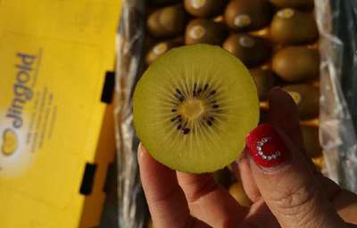 进口猕猴桃来势汹汹，国产产业如何破局？