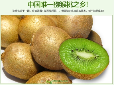 【预售开启】2015年度优质徐香猕猴桃，邀您抢先品尝金秋硕果