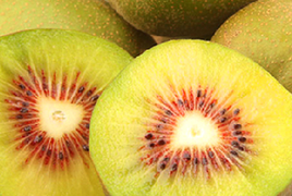 张家界猕猴桃奇异果 绿源红心猕猴桃专业合作社热卖促销