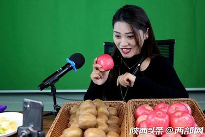 专业合作社引领，果农增收致富路——扶风猕猴桃实现全年供应与销售新突破